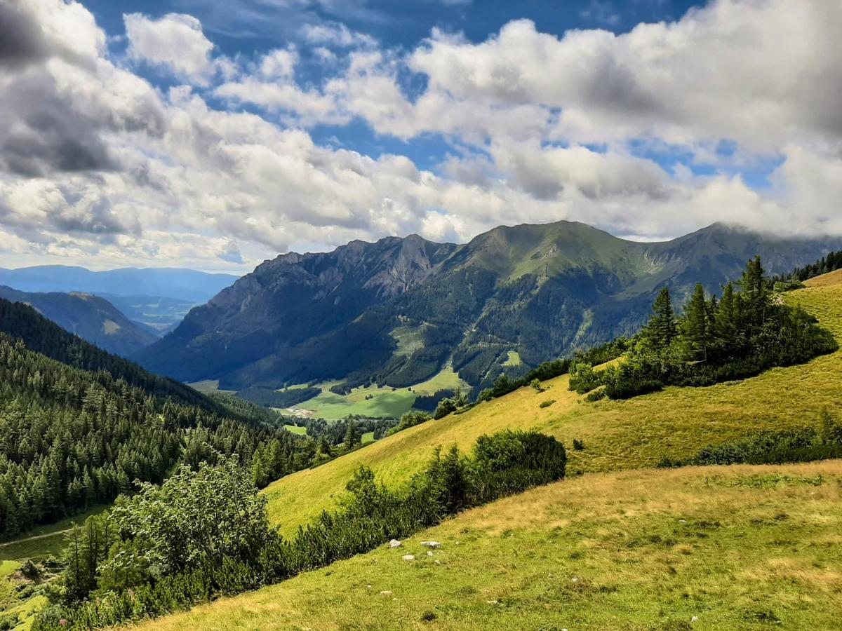 Romantiksuite Bei Seitberger Frauenberg Exteriör bild