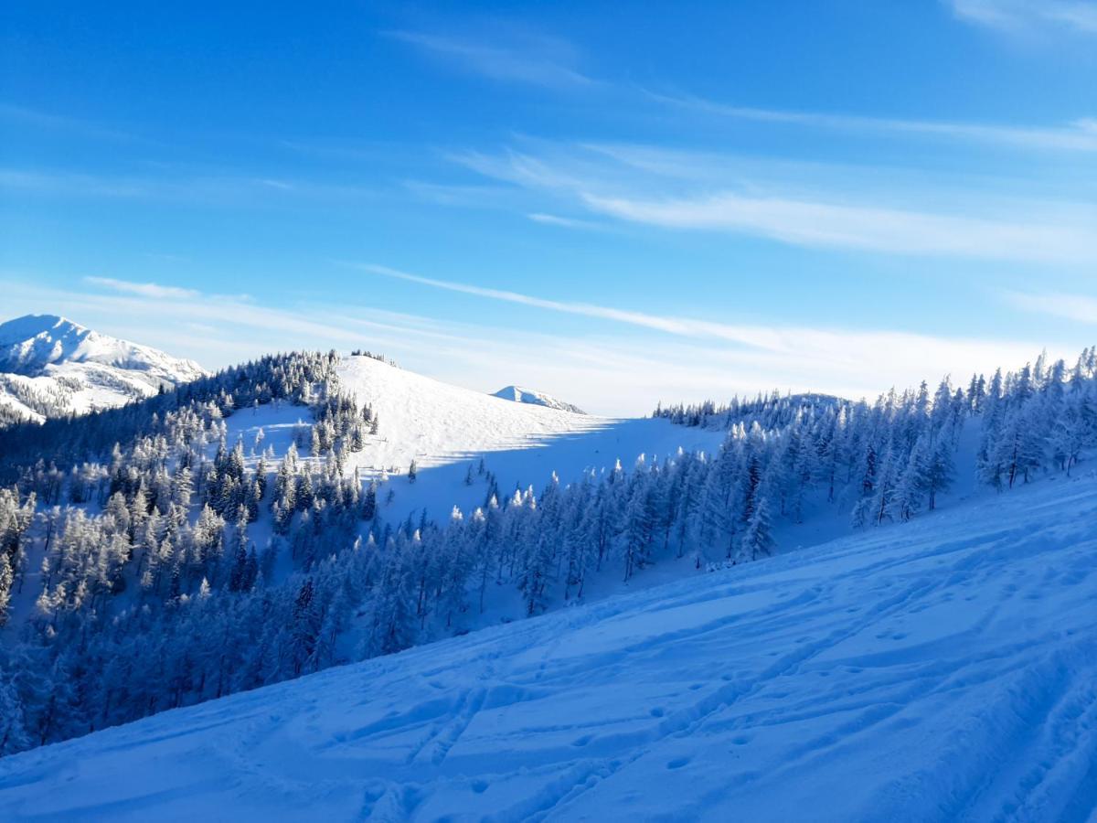 Romantiksuite Bei Seitberger Frauenberg Exteriör bild