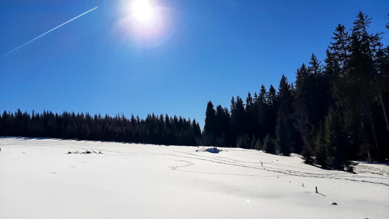 Romantiksuite Bei Seitberger Frauenberg Exteriör bild